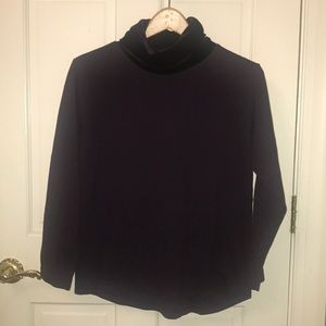 Purple Velvet Turtleneck
